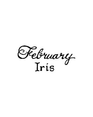 February Iris - BB11247
