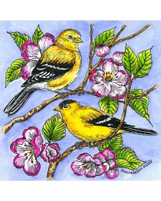 Goldfinch Pair and Blossoms - PP11080