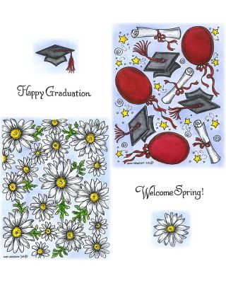 Graduation And Daisy Background - NO-233