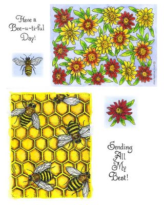 Honeycomb And Bees Background & Profusion Zinnia Background - NO-248