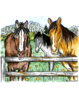 Horse Family And Wooden Fence - P9744