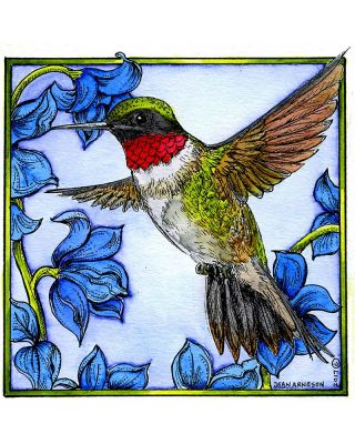 Hummingbird on Delphinium - PP10180