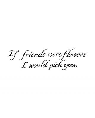If Friends Were Flowers - D8991
