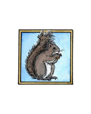Isaac's Squirrel - CC10222