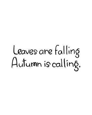 Leaves Are Falling - D10992