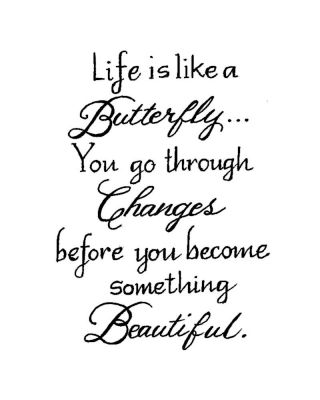 Life is Like a Butterfly - E9943