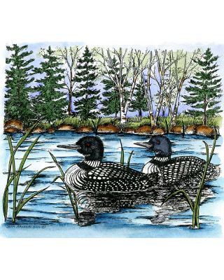 Loon Pair on Lake With Pines - P9982