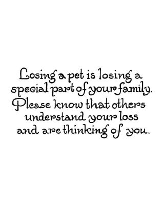 Losing A Pet is Losing A Special - D10451