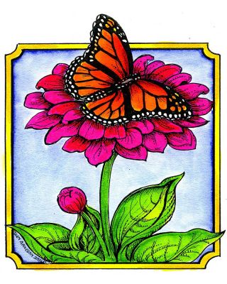 Monarch on Zinnia in Notched Frame - PP9931