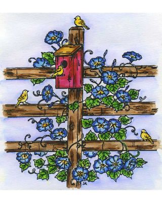 Morning Glories and Birdhouse - P3312