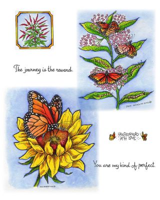Monarch on Sunflower - NO-012