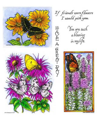 Bee Balm with Butterflies & Black Swallowtail on Coreopsis - NO-097