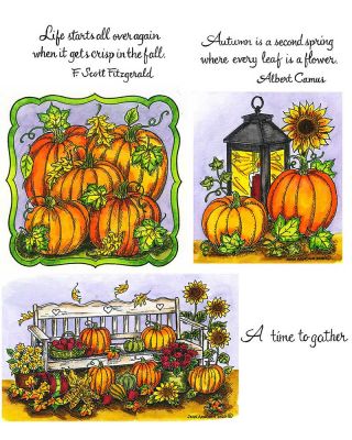 Fall Bench & Pumpkins in Frame - NO-102