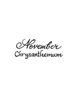 November Chrysanthemum - BB11279