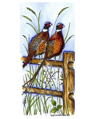 Pheasants On Fence - O9054