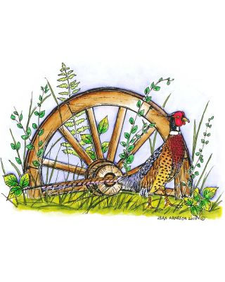 Pheasant and Wagon Wheel - P7380