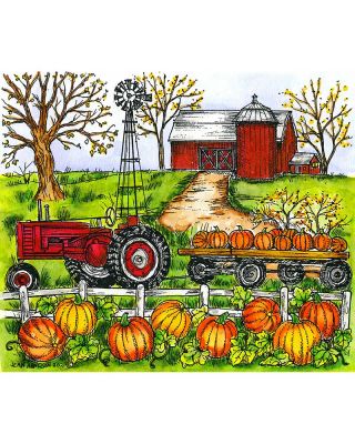Pumpkin Farm - P10986