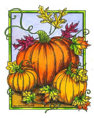 Pumpkins and Leaves in Rectangle Frame - P10655