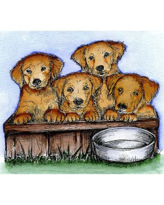 Puppies in Box - M9736