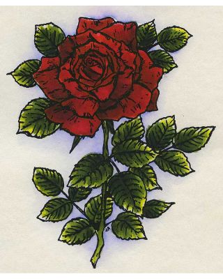 Rose #2 - P284