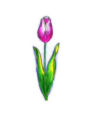 Simple Tulip and Leaves - D7336