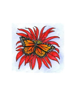 Small Bee Balm and Monarch - CC11126
