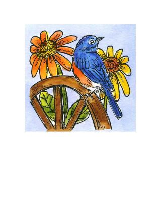 Small Bluebird - CC11535