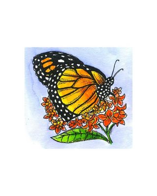 Small Butterfly Weed and Monarch - CC11110