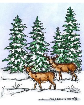 Small Deer Pair in Snowy Spruce - M11419