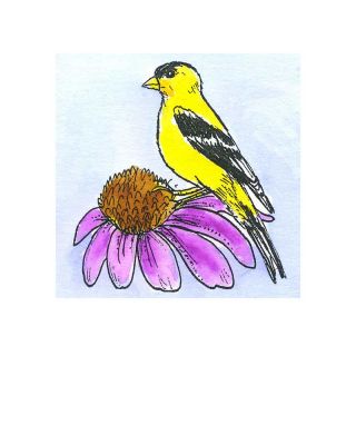 Small Goldfinch - C11531