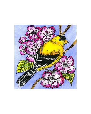 Small Goldfinch - CC11081