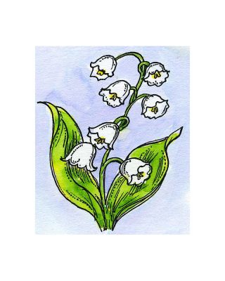 Small Lily of the Valley - C11257