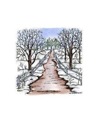 Small Road With Bare Branched Trees - CC9352