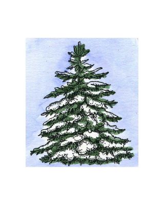 Snowy Spruce - C10859