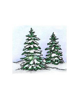 Snowy Spruce Pair - CC11432