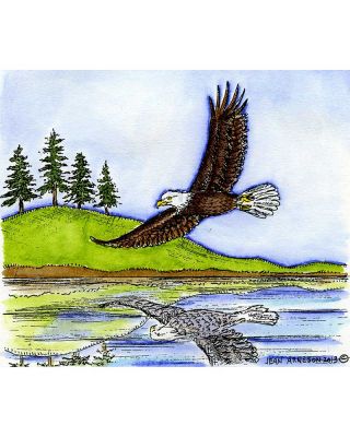 Soaring Eagle Over Water With Pines - P9050