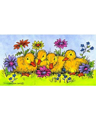 Spring Ducklings - O9965