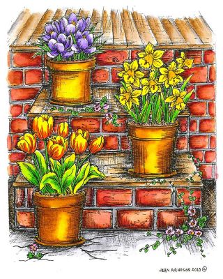 Spring Steps With Spring Flower Pots - P7334