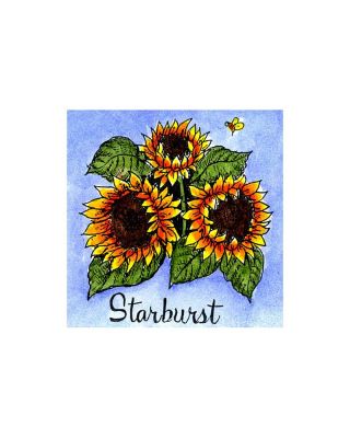 Starburst Sunflower - C10092