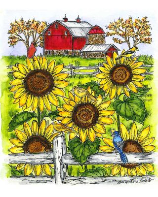 Sunflower Farmhouse - P11325