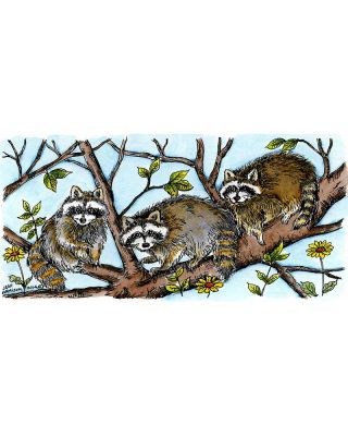 Three Raccoons In Tree - O9527