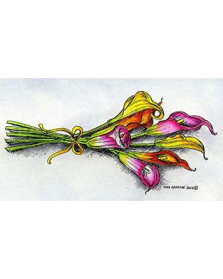 Tied Calla Lilies Bunch - O9493