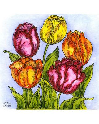 Tulip Cluster - PP10906