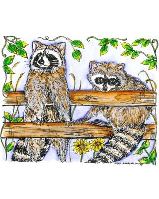 Two Raccoons on Fence - M7362