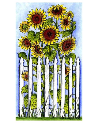 Sunflowers and Fence - NN10101