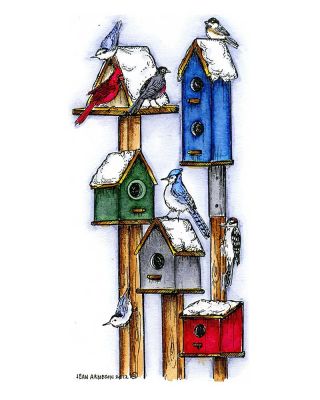 Winter Birdhouses With Winter Birds - O8881