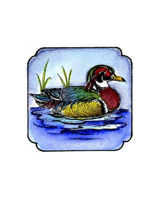 Wood Duck In Curved Frame - CC9047