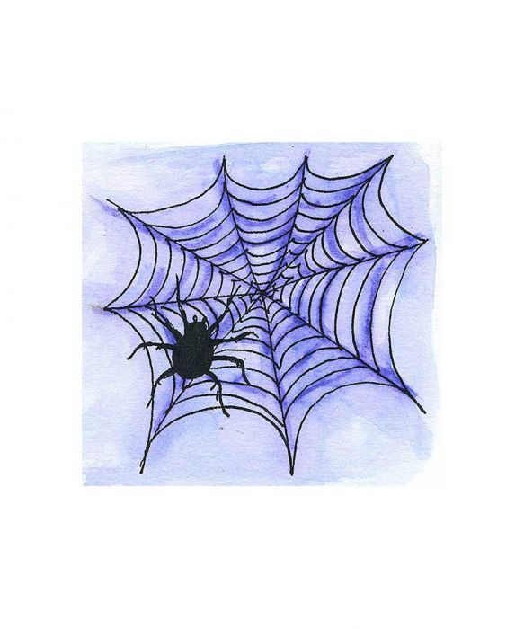 Spider and Web - CC11139